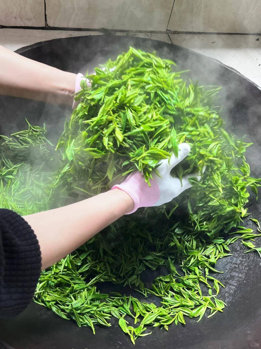 在家自己怎么炒茶叶？60年老茶农教你5步炒出春茶香，省钱又放心