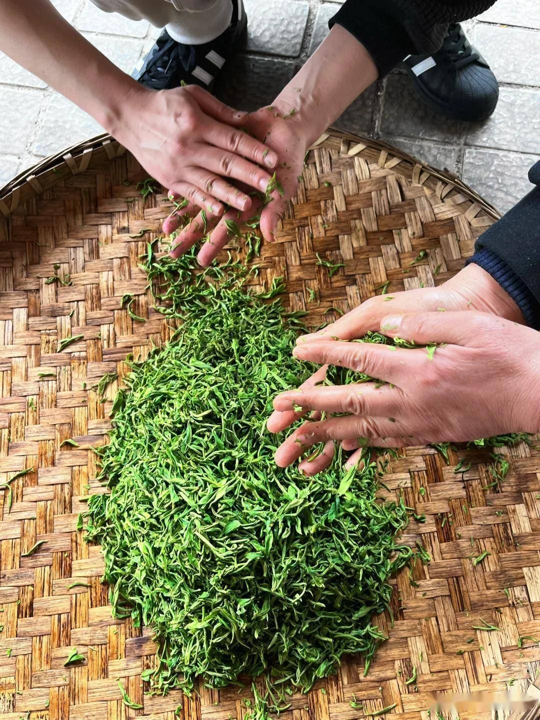 在家自己怎么炒茶叶？60年老茶农教你5步炒出春茶香，省钱又放心