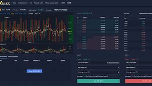 VBITEX的简单介绍