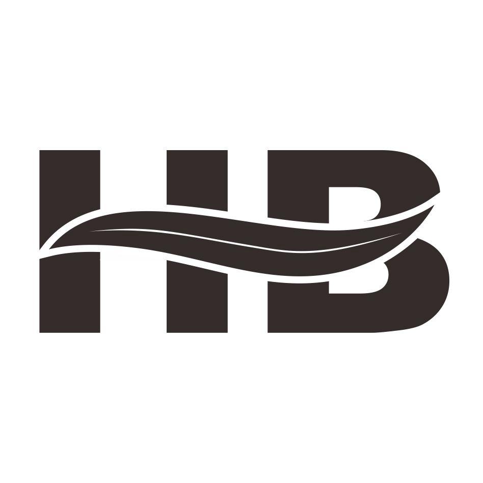 HB(hb是什么意思)