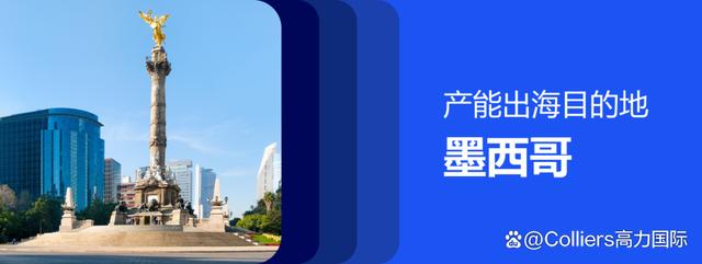 IMMEX(IMMEX是什么意思)